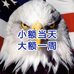 杜尔伯特要账公司